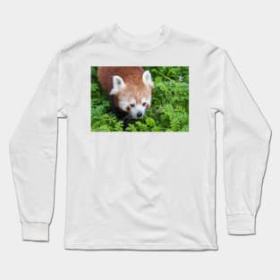 Red Panda close up of face Long Sleeve T-Shirt